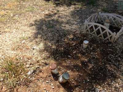 Come per tutti i cimiteri per� ci sono anche postazioni abbandonate, con foto ormai sbiadite su cui si legge a mala pena il nome dell�animale